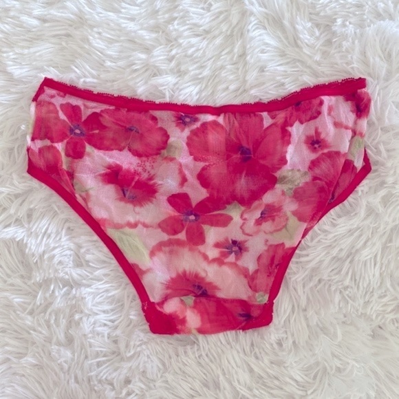 Vintage Y2K Victoria’s Secret poppies micro mesh bikini cut panties - Picture 3 of 5